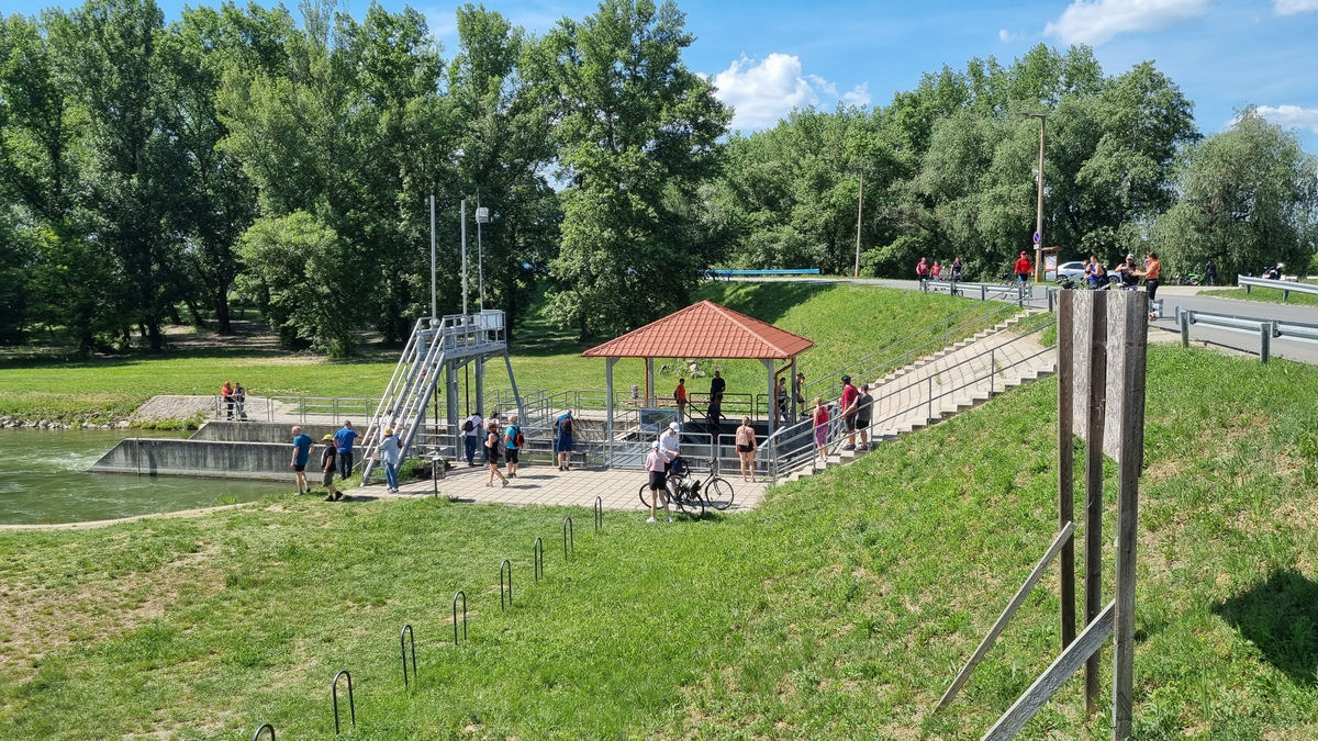 20240504-Bringatúra-a-Tisza-tó-körül-5