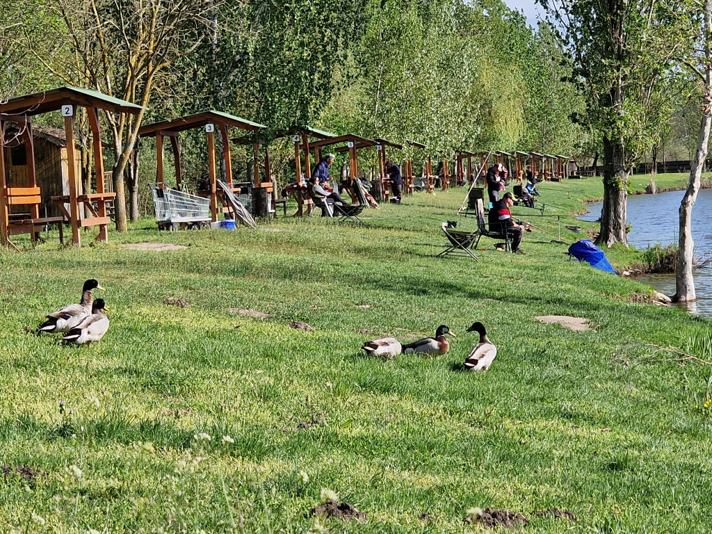 20250426-III-Postás-Horgászverseny-Debrecen-1